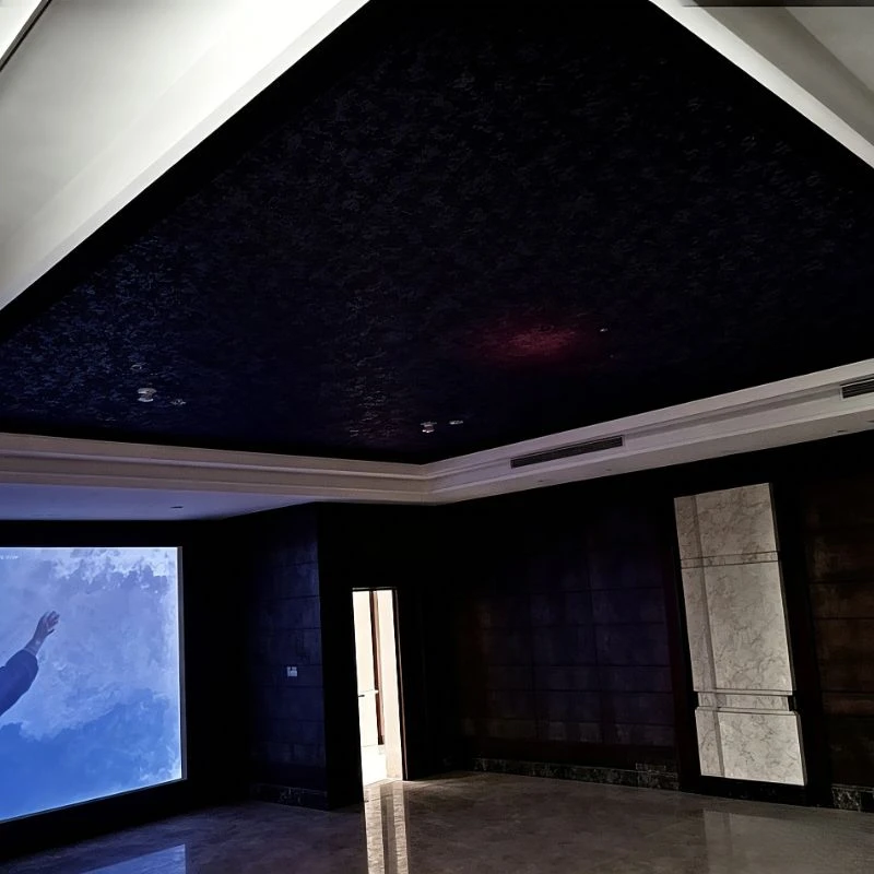 Plafond salarial invisible en plaques de pl&acirc;tre sans soudure
